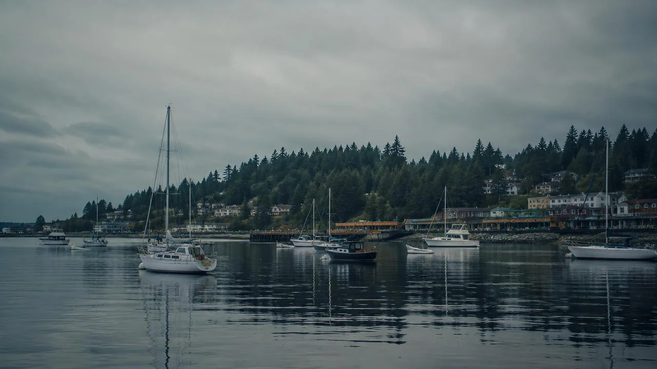 Puget Sound Retailers Report Steady Fall Demand