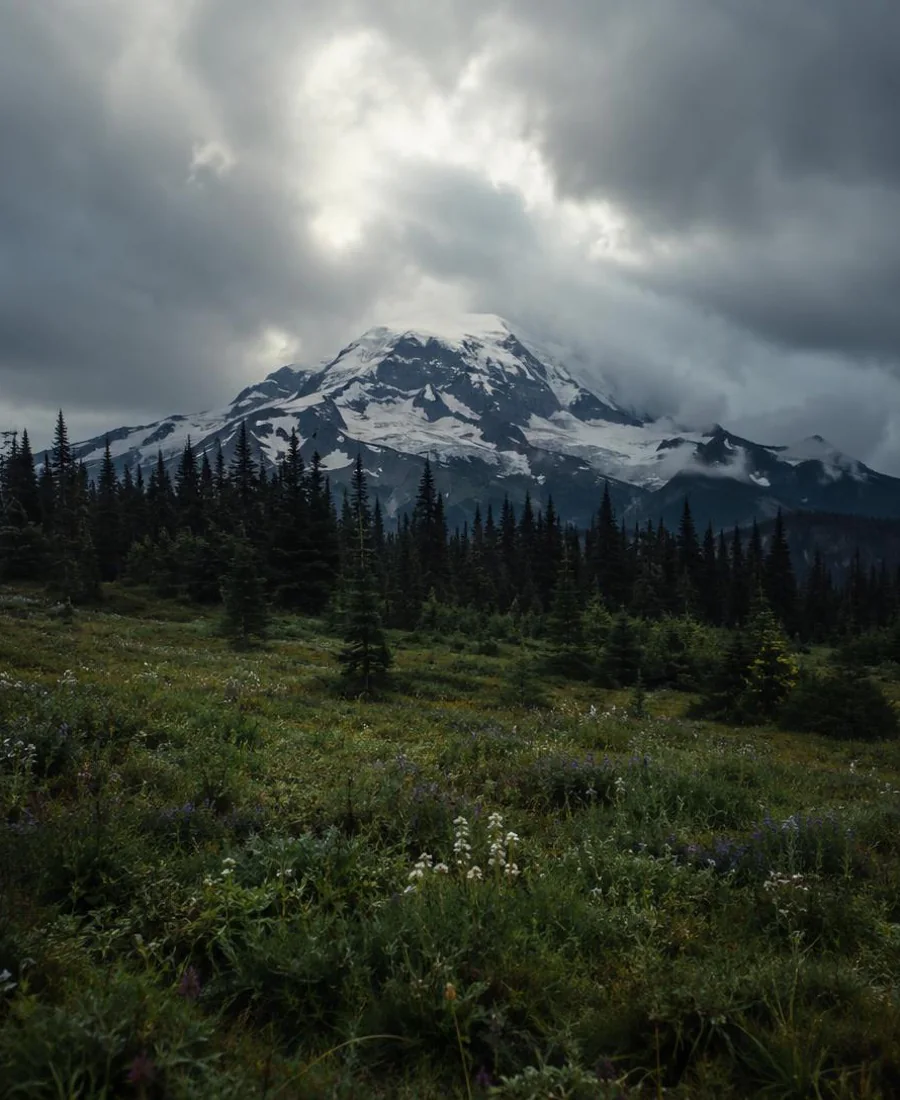 Washington landscape