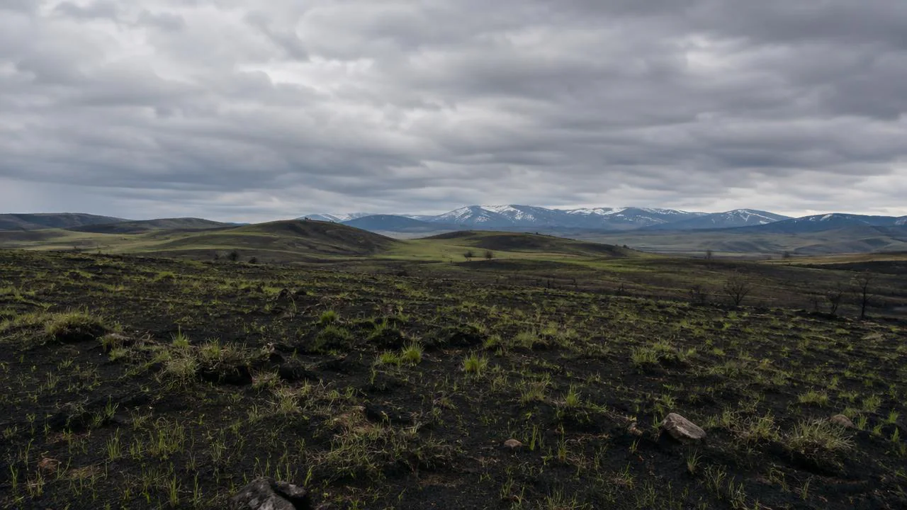 Wyoming Rangeland Fire Recovery Enters Second Season
