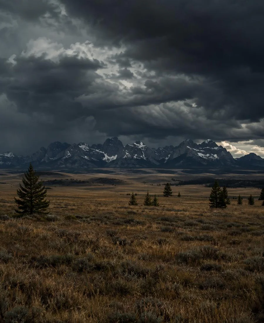 Montana landscape